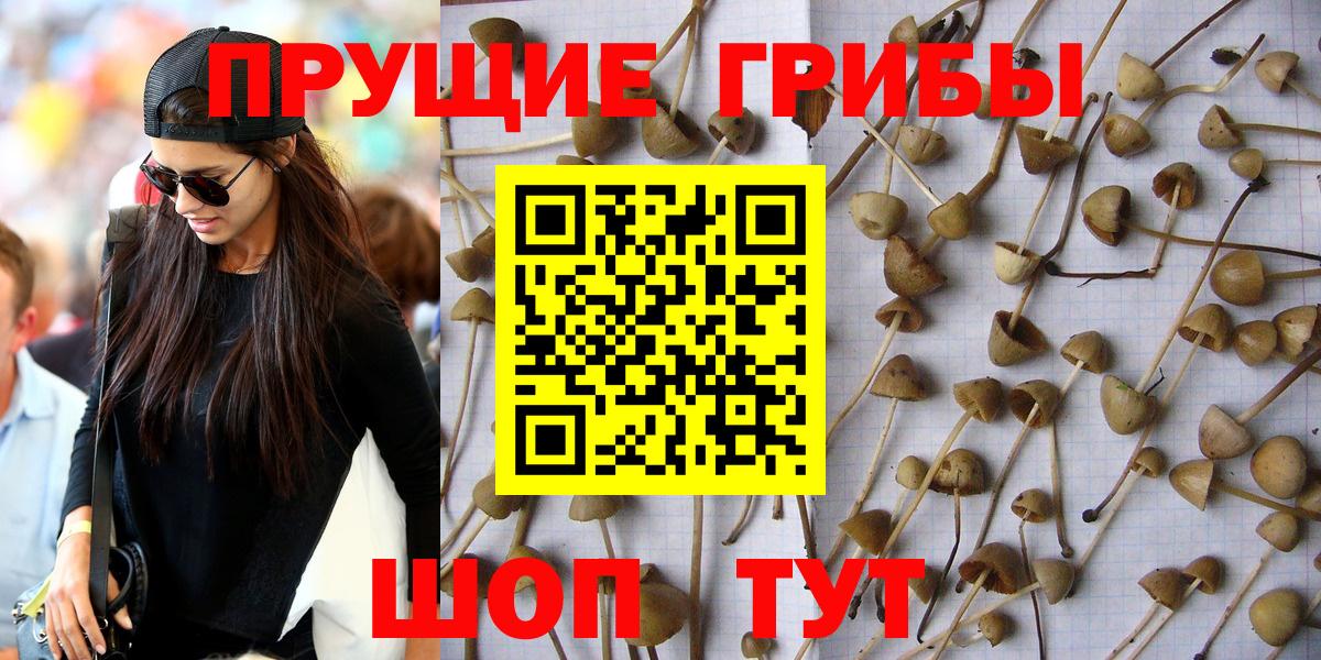 Псилоцибиновые грибы MAGIC MUSHROOMS Обнинск
