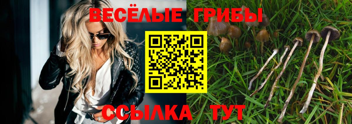 Обнинск  Галлюциногенные грибы GOLDEN TEACHER  Вход с VPN 