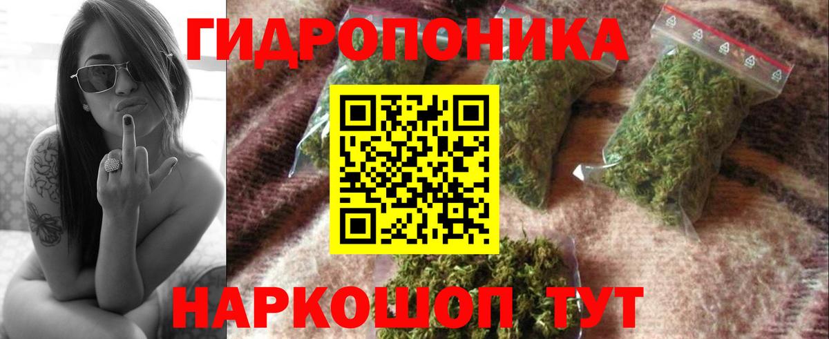 Канабис ГИДРОПОН  Канабис тримм  Каннабис ГИДРОПОН  Обнинск  Вход с VPN 